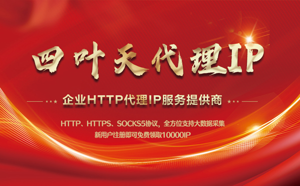 【自贡代理IP】代理IP中的HTTP代理与SOCKS代理有什么区别？